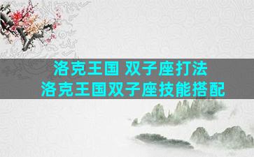 洛克王国 双子座打法 洛克王国双子座技能搭配